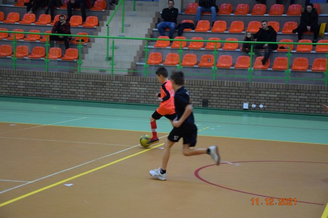 turmikol 12
